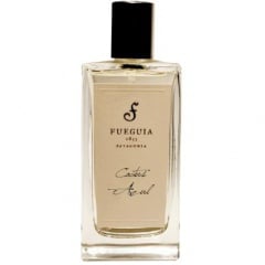 Cactus Azul (Perfume) by Fueguia 1833 perfume bottle