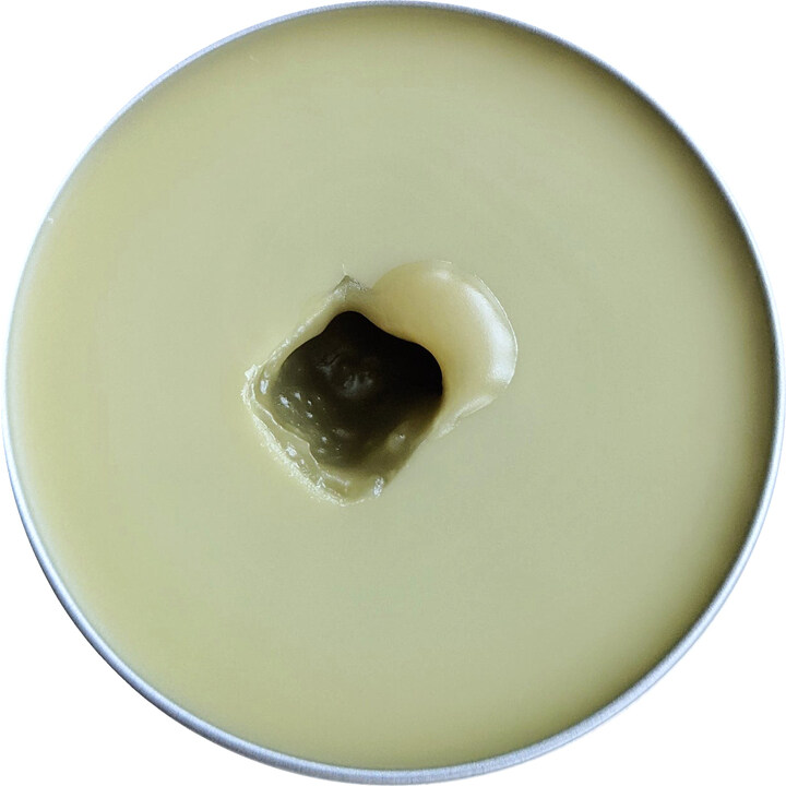 Tropic of Hermes by Wild Veil Perfume perfume bottle