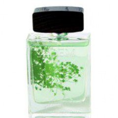 Edem - Greenland by Alan Bray perfume bottle