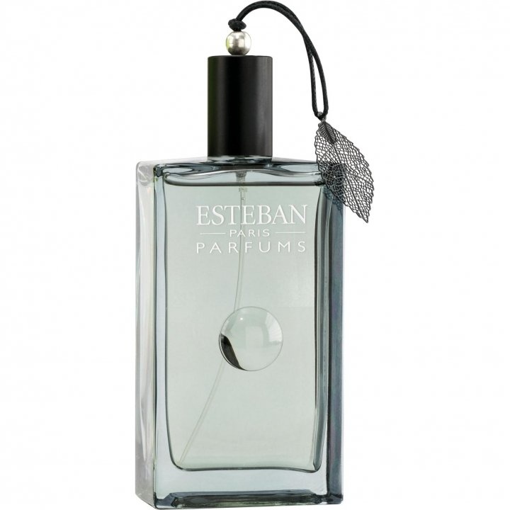 Songe de Yuzu by Esteban perfume bottle