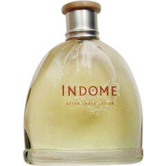 Indome (After Shave Lotion) by Coty perfume bottle