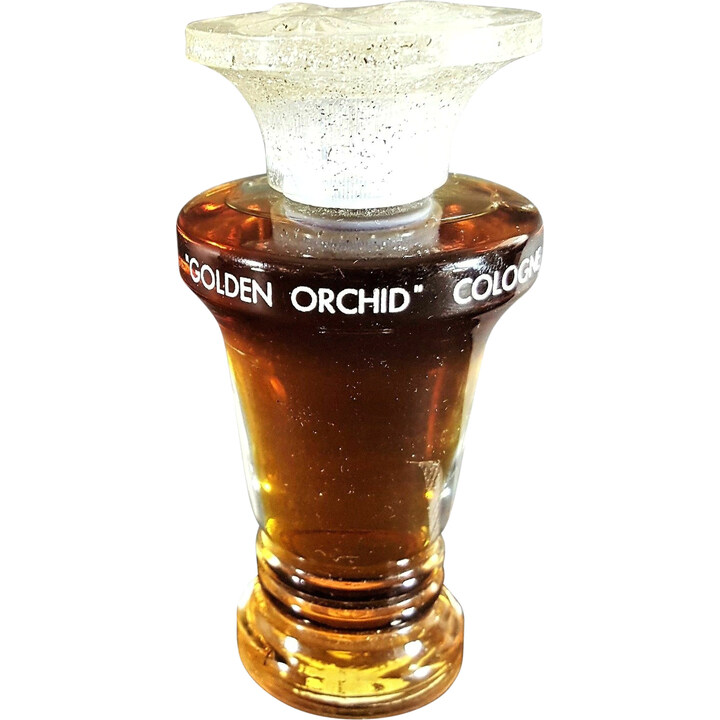 Golden Orchid (Cologne)