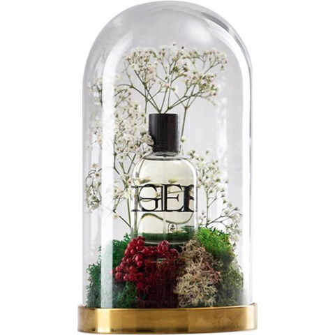 Geschein by Anno 1555 perfume bottle