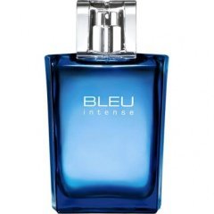 Bleu Intense by L'Bel perfume bottle