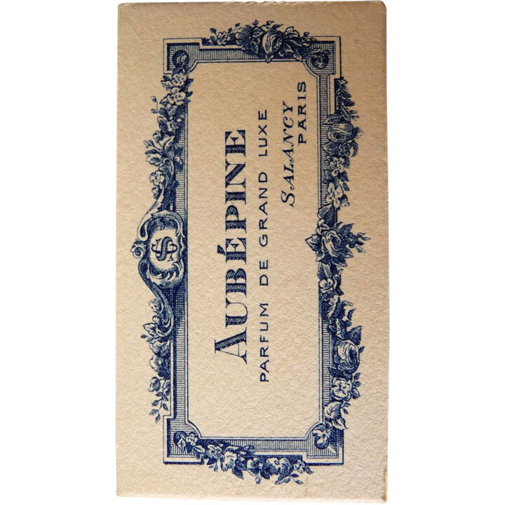 Aubépine by Salancy perfume bottle