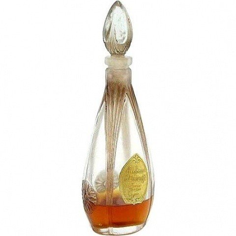 Ambre d'Orient by Nice-Flore perfume bottle