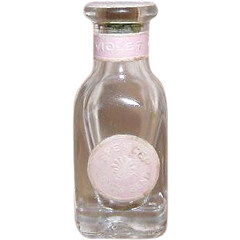 Violet by Spencer South Bend perfume bottle