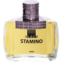 Stamino Black by Prime Collection perfume bottle