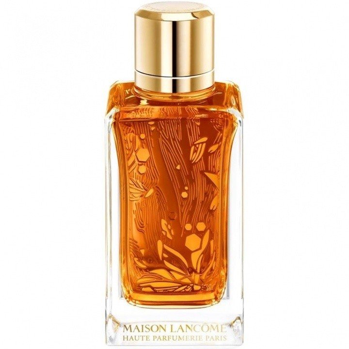 Ôud Ambroisie by Lancôme perfume bottle