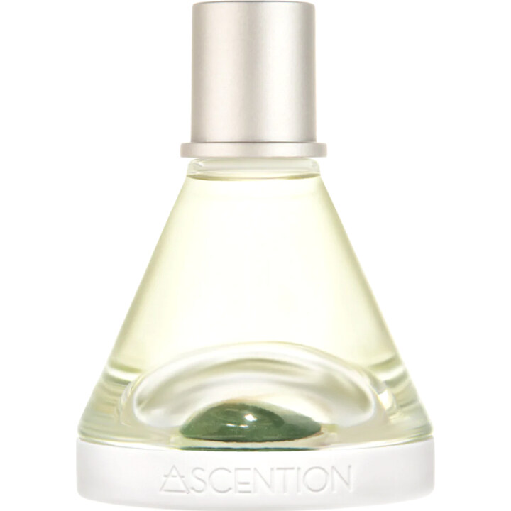 Ascent to Prosperity by Ascention perfume bottle