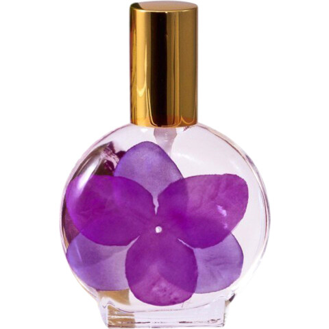 Island Bougainvillea by Aloha Beauty perfume bottle