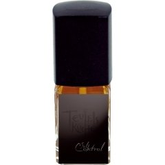 Self Control by Teufelsküche perfume bottle