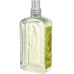 Verveine Soleil / Sun Verbena by L'Occitane en Provence perfume bottle