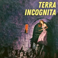 Terra Incognita by Pulp Fragrance perfume bottle