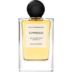 Cupressus by Fiele Fragrances perfume bottle