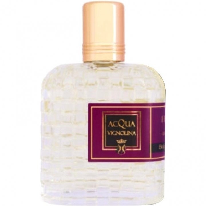 Acqua Vignolina by Bolgherello perfume bottle