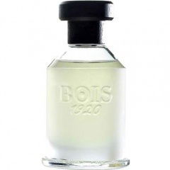 Magia by Bois 1920 perfume bottle