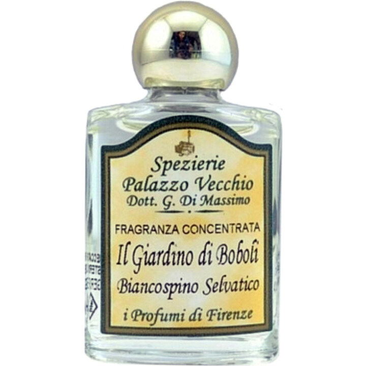 Il Giardino di Boboli - Biancospino Selvatico (Fragranza Concentrata) by Spezierie Palazzo Vecchio / I Profumi di Firenze perfume bottle