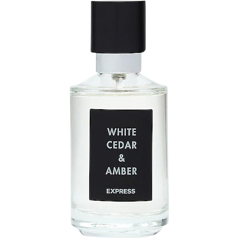 White Cedar & Amber by Express perfume bottle