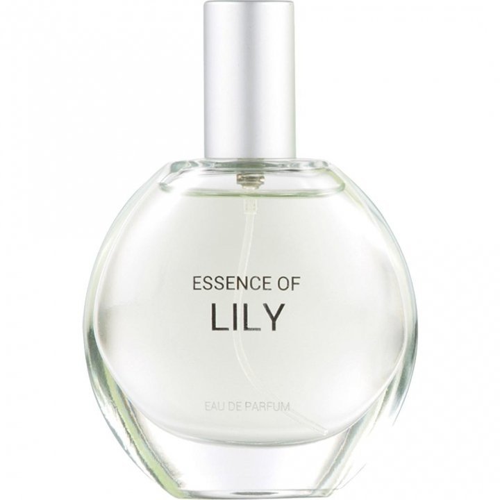 Essence of Lily by C&A perfume bottle