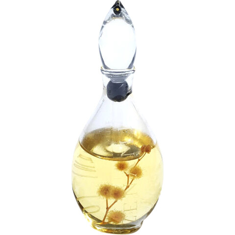 Intimity Me by Zenami perfume bottle