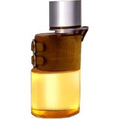 Hunter for Men EDT by Armaf perfume bottle