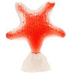 Color Collection - Star Red Passion by Seajewels perfume bottle