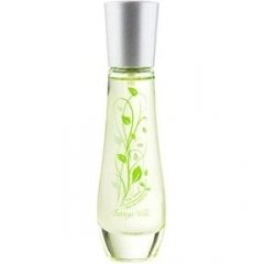The Verde by Bottega Verde perfume bottle