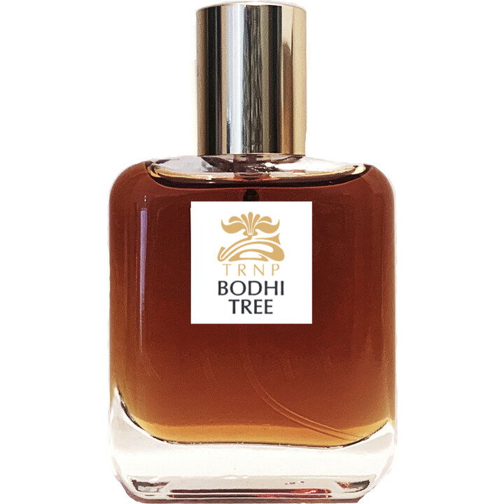 Bodhi Tree by Teone Reinthal Natural Perfume perfume bottle