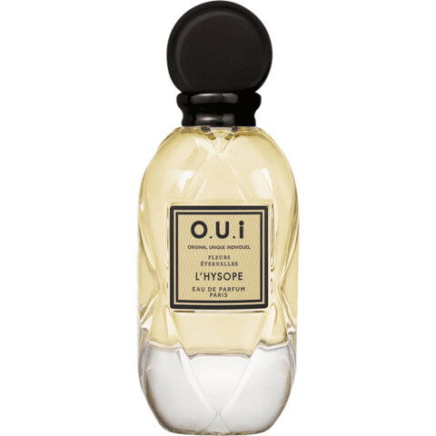 Fleurs Éternelles - L'Hysope