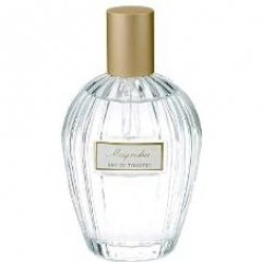 Floral Collection - Magnolia / Magnolia Liliiflora