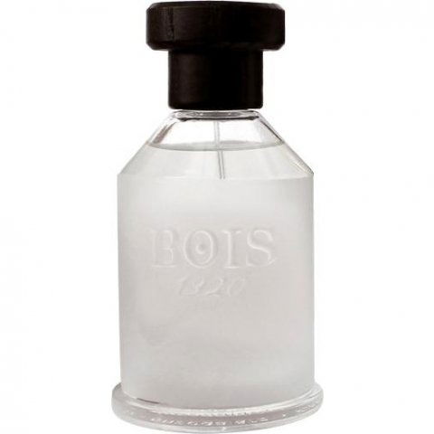 Sopra Il Mare by Bois 1920 perfume bottle