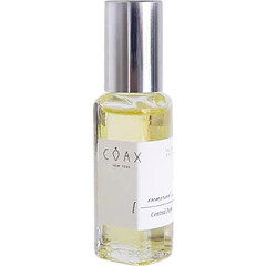 Immersed in Central Park (Perfume Oil) by Coax perfume bottle