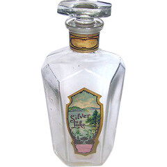 Silver Lake by B. D. Baldwin & Co. perfume bottle