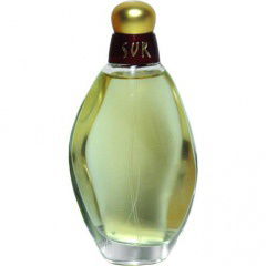 Sur by Victorio & Lucchino perfume bottle