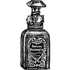 Havaneta / Havanita by Courvoisier perfume bottle