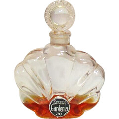 Gardenia by A. A. Vantine & Co. perfume bottle