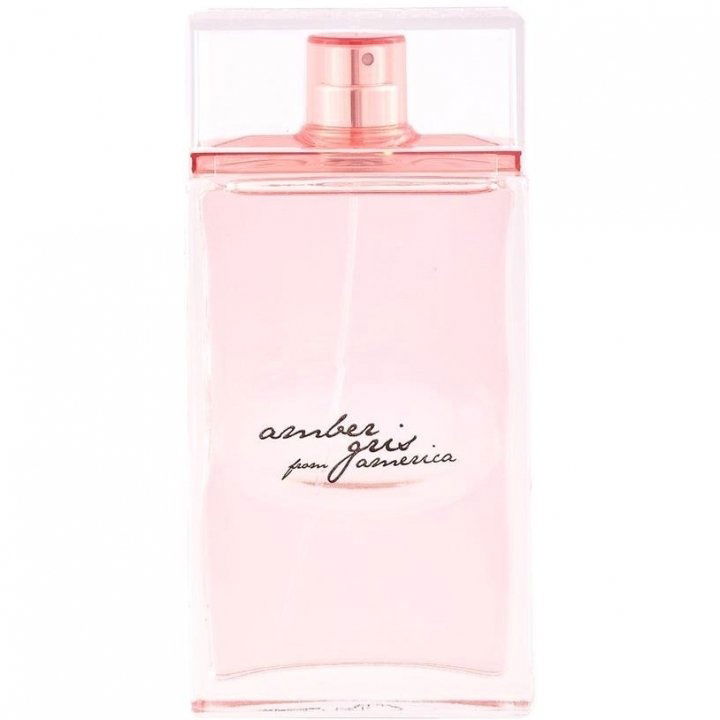 Amber Gris from America by Alviero Martini perfume bottle