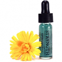 Strength by Wild Rose perfume bottle