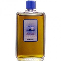 Notte di Venezia by Linetti perfume bottle