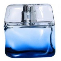Bleu Intense by Nicole Farhi perfume bottle