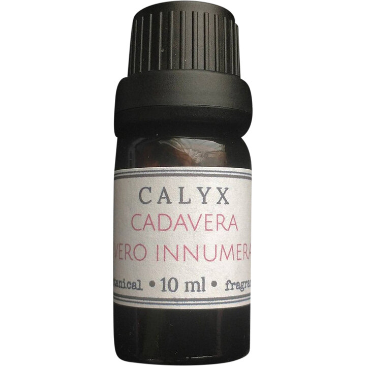 Cadavera Vero Innumera by Calyx perfume bottle