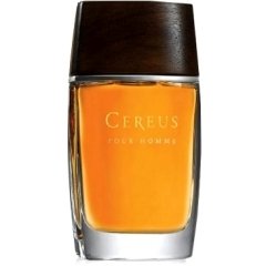 Pour Homme N° 14 by Cereus perfume bottle