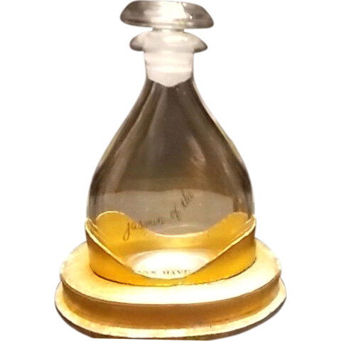 Jasmin of the Night by Ann Haviland perfume bottle