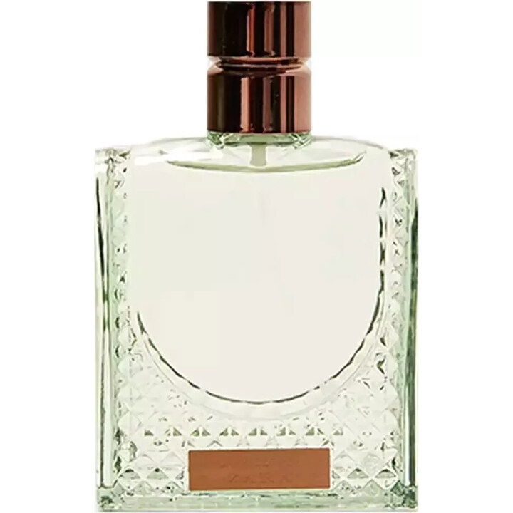 Dark Copper by Zara perfume bottle