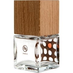 B6 by Favorit05 perfume bottle