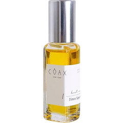 Lost in Times Square (Perfume Oil) by Coax perfume bottle