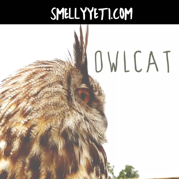 Owlcat