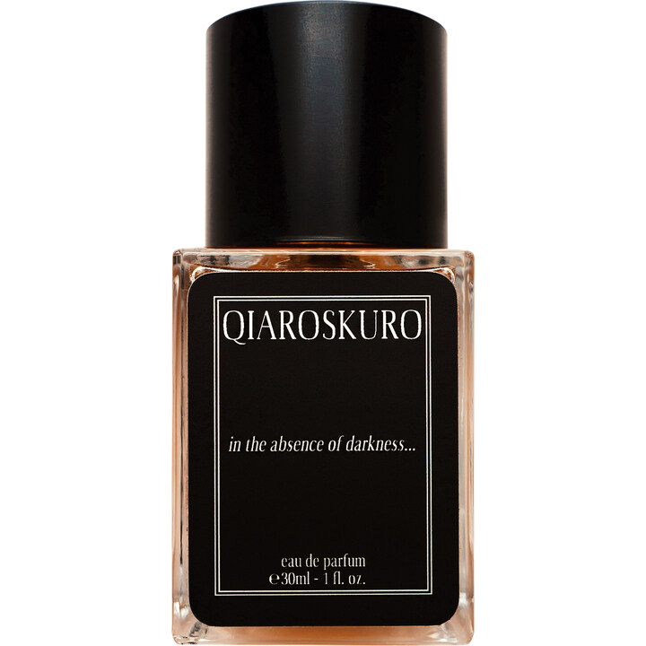 In the Absence of Darkness... EDP by Qiaroskuro perfume bottle