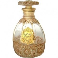 Odorantis by Jean-Paul Giraud et Fils perfume bottle